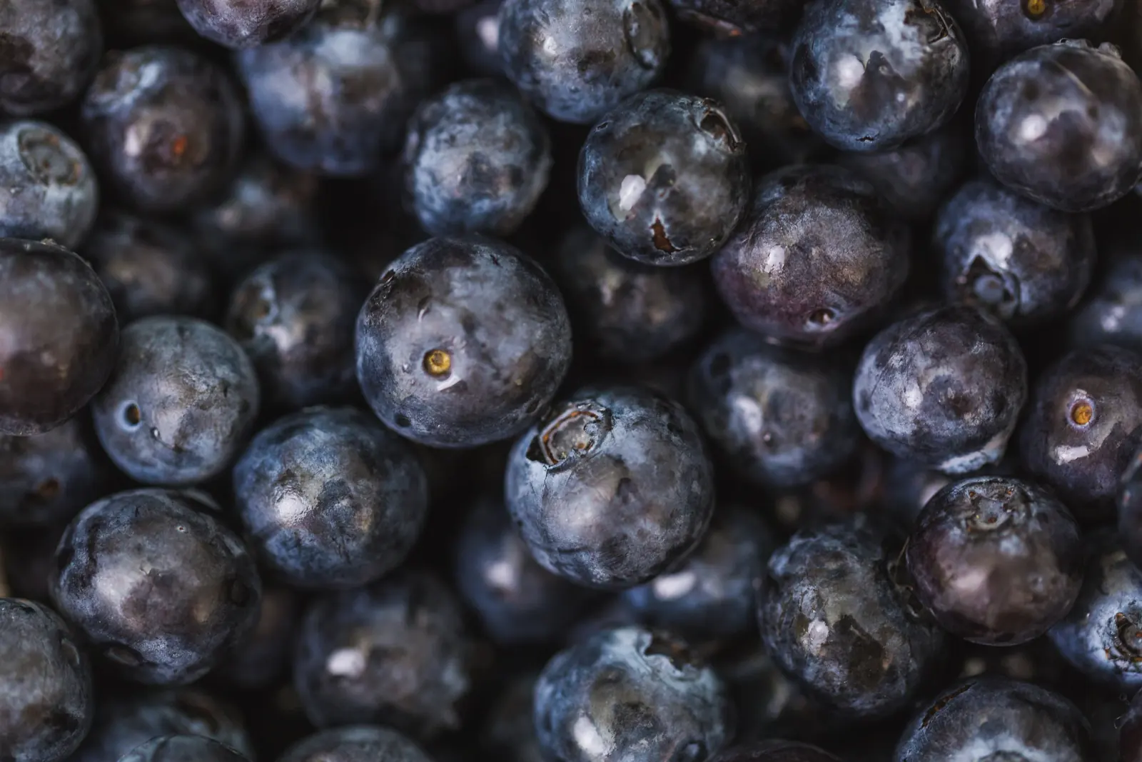 Close-up of fresh blueberries