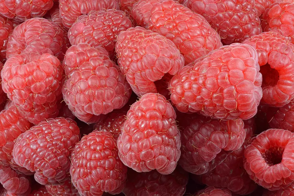 Ripe raspberries, close up
